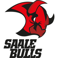 Saale Bulls Saale Bulls